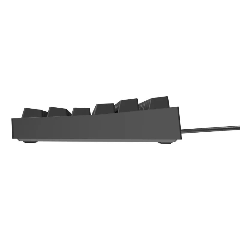 GENESIS Thor 404 TKL toetsenbord gaming USB QWERTZ Duits zwart