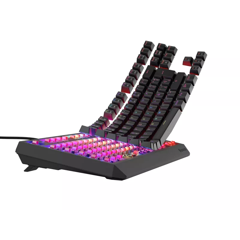 GENESIS Thor 230 TKL toetsenbord gaming USB QWERTY Spaans zwart