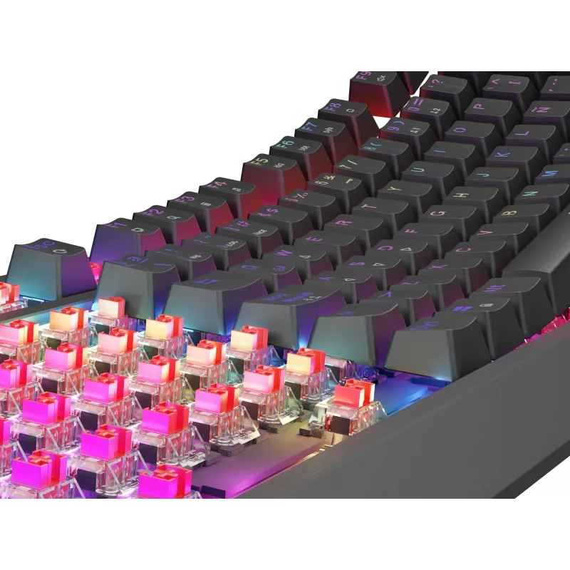 GENESIS Thor 230 TKL toetsenbord gaming USB QWERTY Spaans zwart