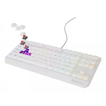 GENESIS Thor 230 TKL toetsenbord gaming USB QWERTY US-Engels wit