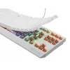 GENESIS Thor 230 TKL toetsenbord gaming USB QWERTY US-Engels wit