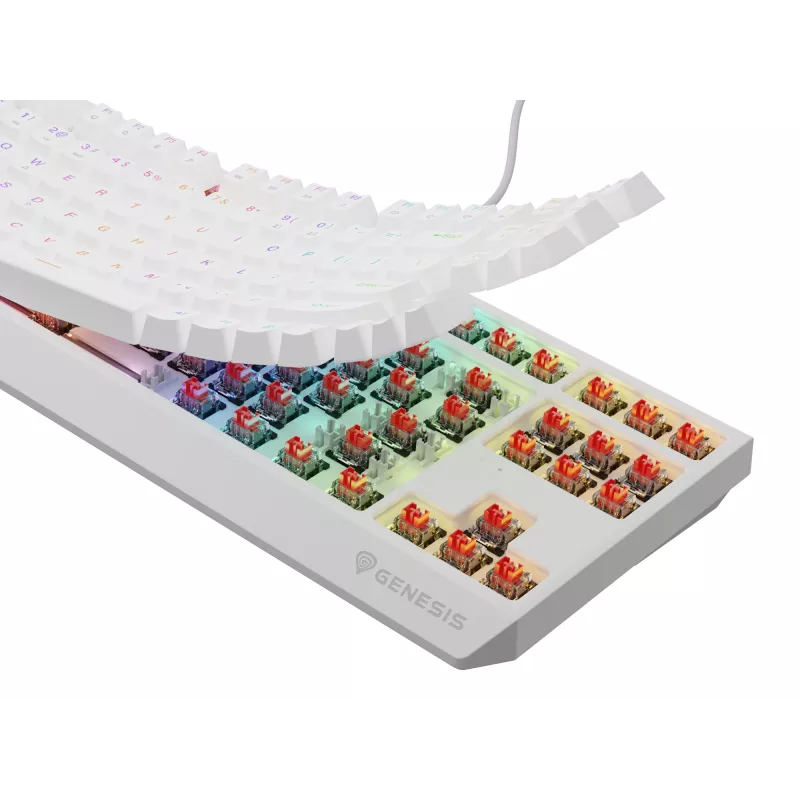 GENESIS Thor 230 TKL toetsenbord gaming USB QWERTY US-Engels wit