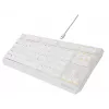 GENESIS Thor 230 TKL toetsenbord gaming USB QWERTY US-Engels wit