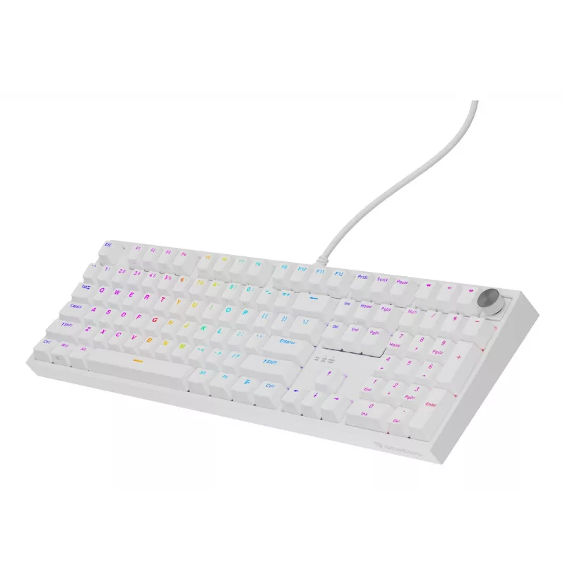 GENESIS NKG-2300 toetsenbord universeel USB QWERTY Engels wit