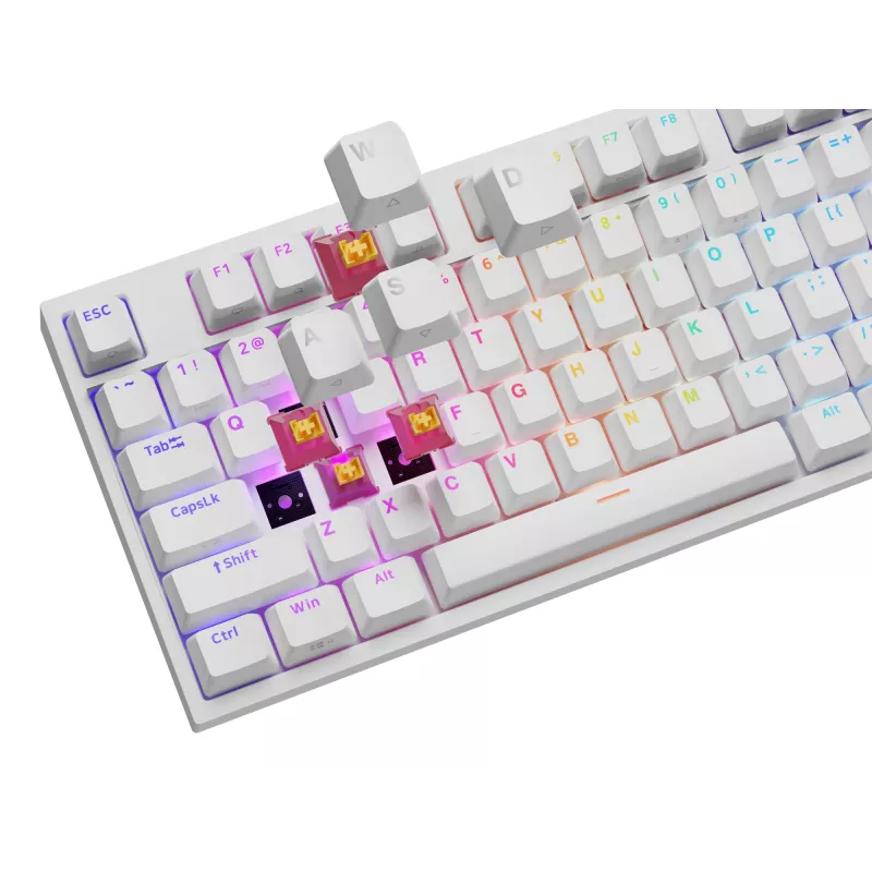 GENESIS NKG-2300 toetsenbord universeel USB QWERTY Engels wit