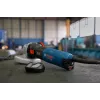 Bosch GWS 17-125 TS haakse slijper 12,5 cm 9700 t/min 1700 W 2,2 kg