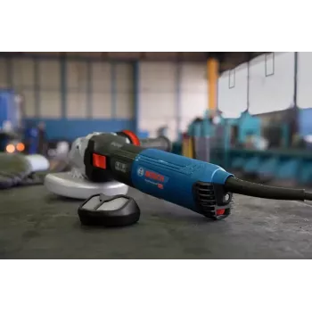 Bosch GWS 17-125 TS haakse slijper 12,5 cm 9700 t/min 1700 W 2,2 kg