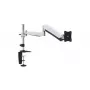 Equip 13–27 inch gelede monitor-bureauhouder