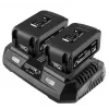 Graphite 58GE134 acculader