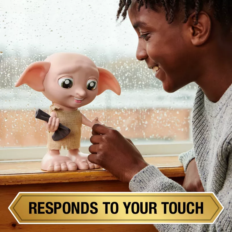 Interactief speelgoed Wizarding World Harry Potter Dobby spreekfunctie AAA meerkleurig