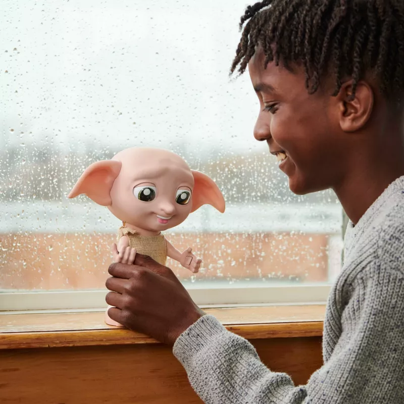 Interactief speelgoed Wizarding World Harry Potter Dobby spreekfunctie AAA meerkleurig