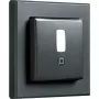 Bewegingsmelder HomeMatic IP HmIP-SMI55-A antraciet – wand-/plafondmontage, 55 frame