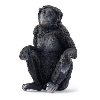 Figuur Schleich WILD LIFE Bonobo vrouwtje 14875 zwart 3 jaar
