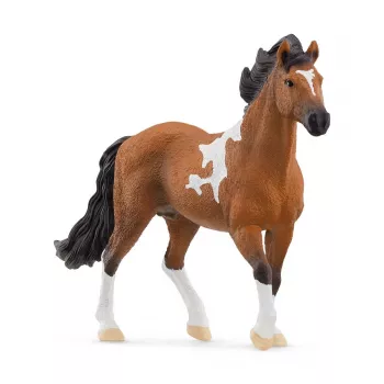 schleich HORSE CLUB Mangalarga Marchador hengst, 5 jaar, paarden, zwart, bruin, wit, kunststof