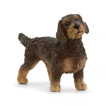schleich FARM WORLD ruwharige teckel