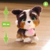 FurReal Walkalots Bernedoodle puppy, jongen/meisje, 4 jaar, met geluiden
