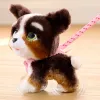 FurReal Walkalots Bernedoodle puppy, jongen/meisje, 4 jaar, met geluiden