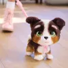 FurReal Walkalots Bernedoodle puppy, jongen/meisje, 4 jaar, met geluiden