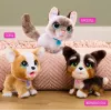 FurReal Poop-a-lots corgi, jongen/meisje, 4 jaar, met geluid