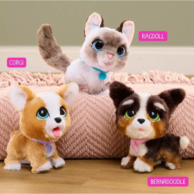 FurReal Poop-a-lots corgi, jongen/meisje, 4 jaar, met geluid