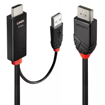 Lindy 1 m HDMI naar DisplayPort kabel HDMI USB Type-A DisplayPort