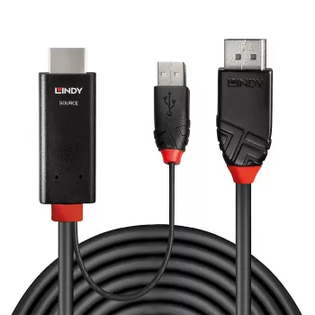 Lindy 1 m HDMI naar DisplayPort kabel HDMI USB Type-A DisplayPort