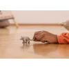 Schleich WILD LIFE aardvarken grijs 14863S speelgoed, aanbevolen vanaf 3 jaar