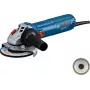 Bosch GWS 12-125 Professional 06013A6104 haakse slijper, 125 mm, 1200 W, blauw