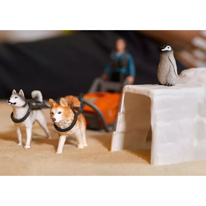 Zoo Schleich WILD LIFE Antarctica-expeditie veelkleurig 42558