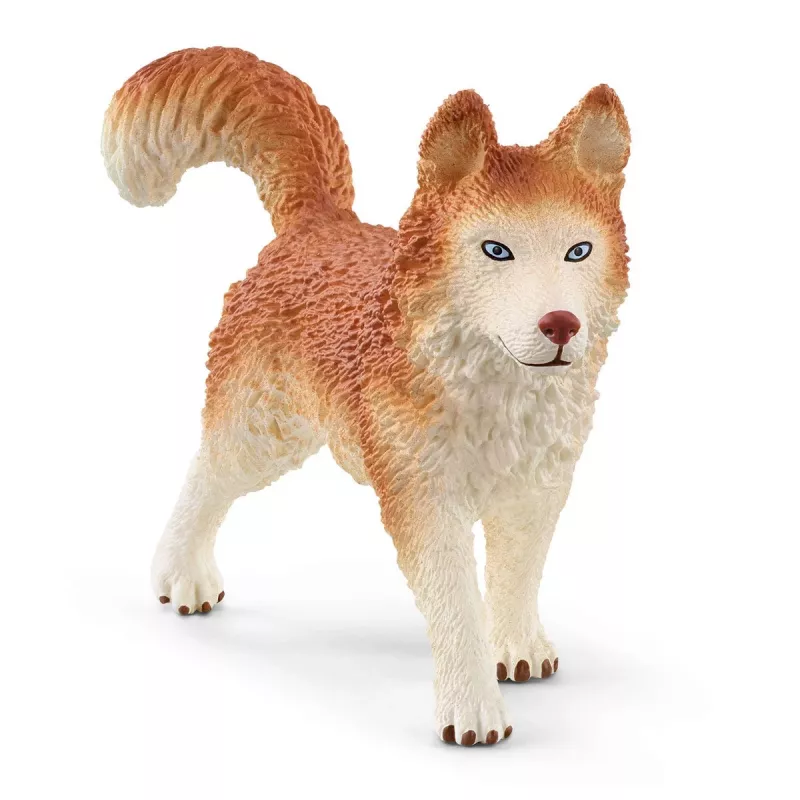 Zoo Schleich WILD LIFE Antarctica-expeditie veelkleurig 42558