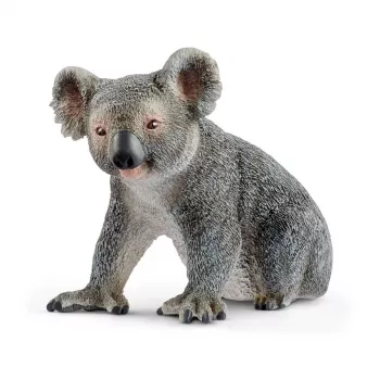 schleich WILD LIFE koala, 3 jaar, jungle, wilde dieren/avontuurspeelgoed, veelkleurig, kunststof, 1 stuk