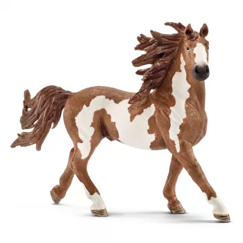 schleich FARM WORLD Pinto-hengst, 3 jaar, boerderijdieren / boerderijspeelgoed, paarden, veelkleurig, kunststof, 1 stuk