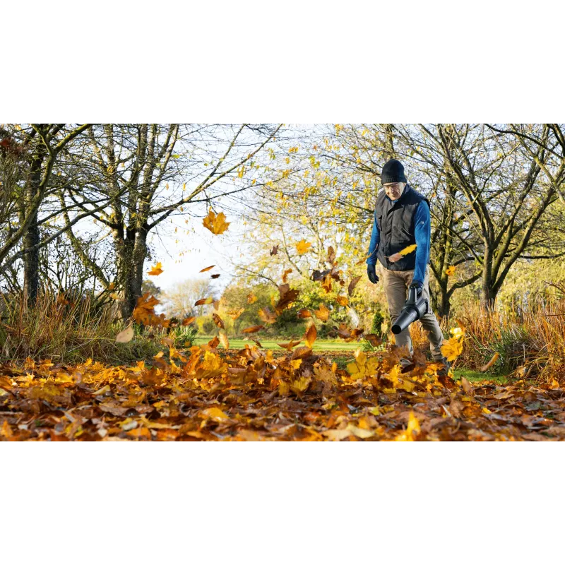 Bosch AdvancedLeafBlower 36V-750 accu-bladblazer, 36 V, 1x 2,0 Ah, lader, 750 m³/h, 100-200 km/h, borstelloos, 3,5 kg, groen/zwart
