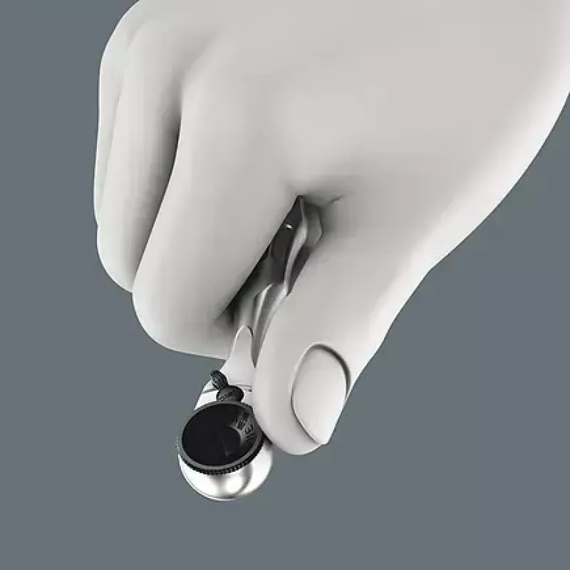 Wera 9532 05136042001 kettingnagelaar werkplaatsset, 20-delig, incl. omschakelbare bitratel 1/4", zwart/groen