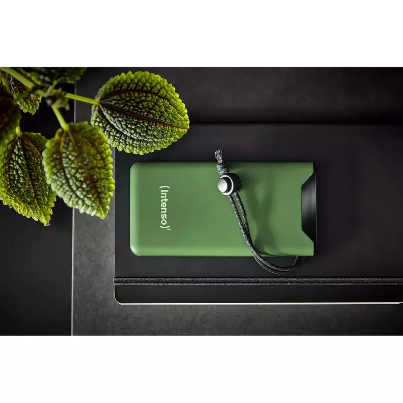Draagbare powerbank Intenso 7332037 10000 mAh