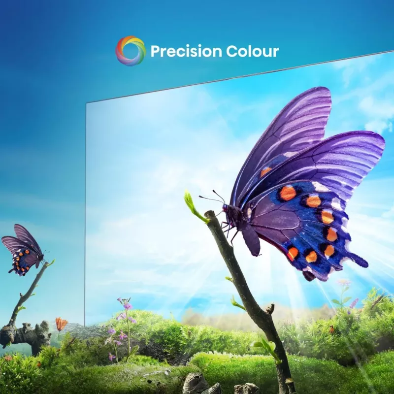 Hisense E6NT 165,1 cm (65 inch) 4K Ultra HD Smart TV Wi-Fi zwart 300 cd/m²