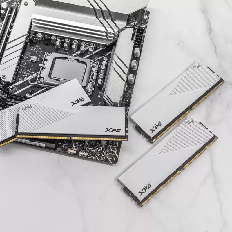 DIMM 16 GB DDR5-6000, werkgeheugen wit, AX5U6000C3016G-CLAWH, Lancer, INTEL XMP