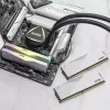 DIMM 64 GB DDR5-6000 (2x 32 GB) dual-kit, werkgeheugen wit, AX5U6000C3032G-DCLARWH, Lancer RGB, INTEL XMP