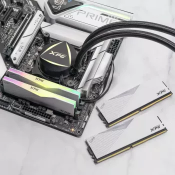 DIMM 64 GB DDR5-6000 (2x 32 GB) dual-kit, werkgeheugen wit, AX5U6000C3032G-DCLARWH, Lancer RGB, INTEL XMP
