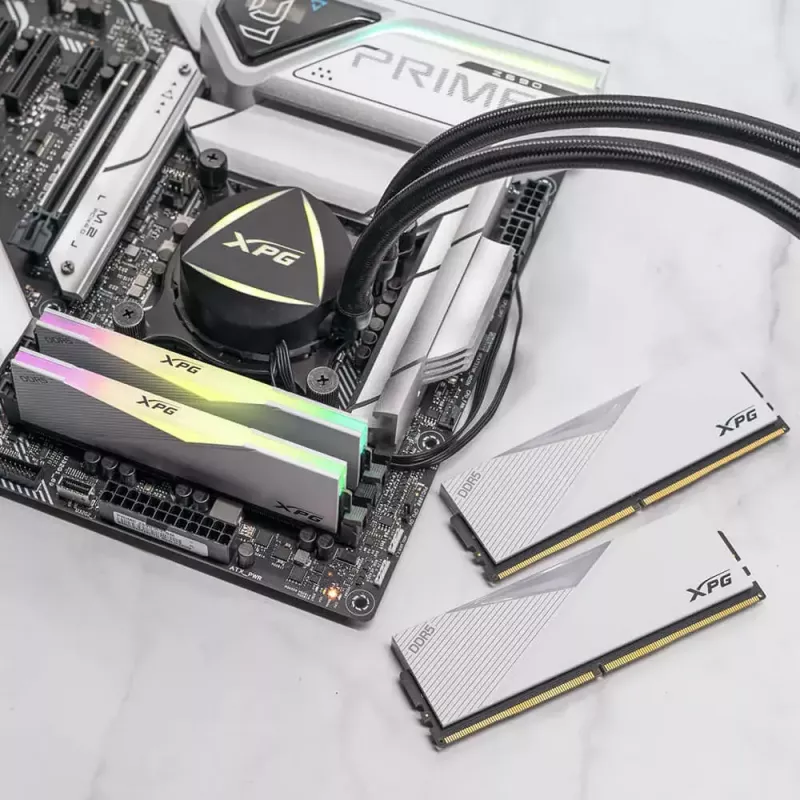 DIMM 64 GB DDR5-6000 (2x 32 GB) dual-kit, werkgeheugen wit, AX5U6000C3032G-DCLARWH, Lancer RGB, INTEL XMP