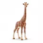 Figuur, Schleich, WILD LIFE giraffe, vrouwtje