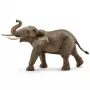 schleich WILD LIFE Afrikaanse olifant, mannetje, 3 jaar, safari, wilde dieren / avonturenspeelgoed, veelkleurig, kunststof, 1 stuk