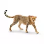 Figuur Schleich WILD LIFE jachtluipaard vrouwtje 14746