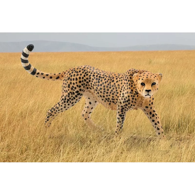 Figuur Schleich WILD LIFE jachtluipaard vrouwtje 14746