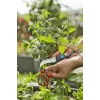 Gardena VeggieCut takkenschaar zwart groen roestvrijstalen bladen