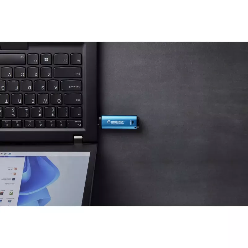 Kingston Technology IronKey 256 GB USB-C Vault Privacy 50C AES-256-versleuteld, FIPS 197
