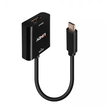 Lindy USB Type-C naar DisplayPort 4K144 converter, USB Type-C, DisplayPort-uitgang, 3840 x 2160 pixels