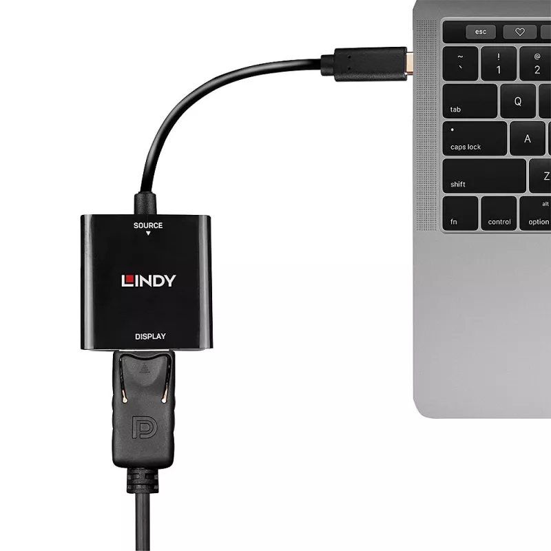 Lindy USB Type-C naar DisplayPort 4K144 converter, USB Type-C, DisplayPort-uitgang, 3840 x 2160 pixels