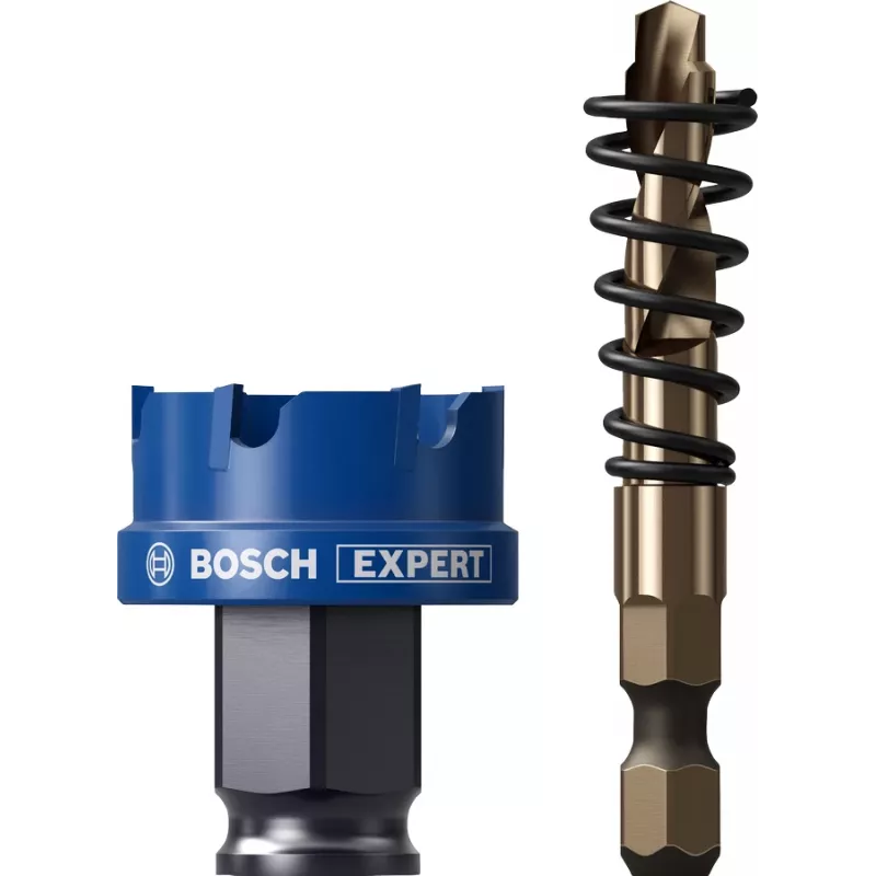 Bosch Expert 2608900496 gatenzaag 1 stk.