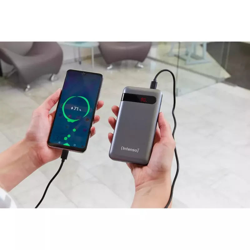 Draagbare powerbank Intenso PD10000 10000 mAh